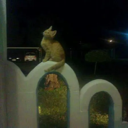 Vasiliki 度假居 *