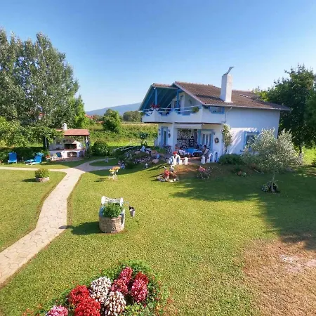 Vasiliki 乐托卡亚