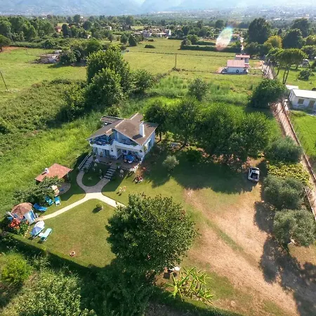 Vasiliki 乐托卡亚