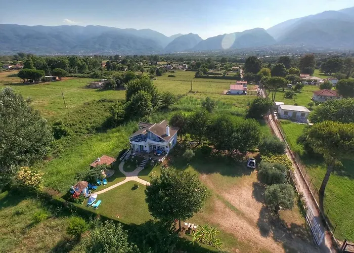Vasiliki Дом отдыха Лептокария
