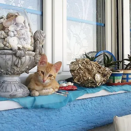 Vasiliki بيت للعطل *