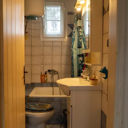 Vasiliki ليبتوكاريا