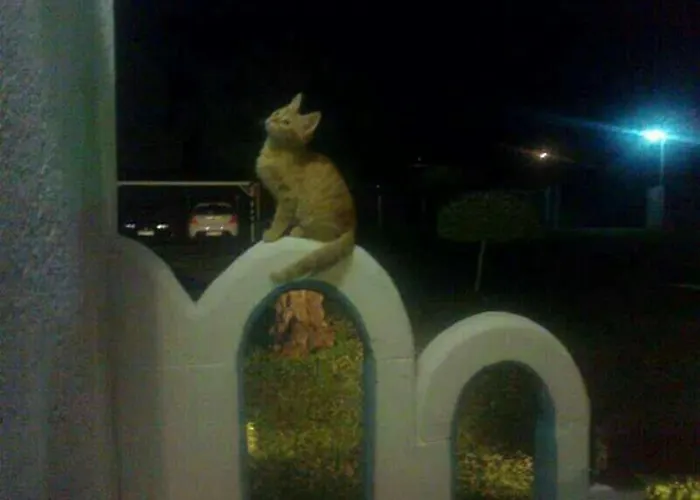 Vasiliki Сasa de vacaciones *