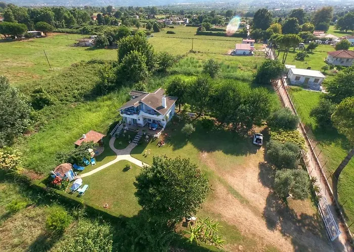 Vasiliki Leptokarya (Pieria)